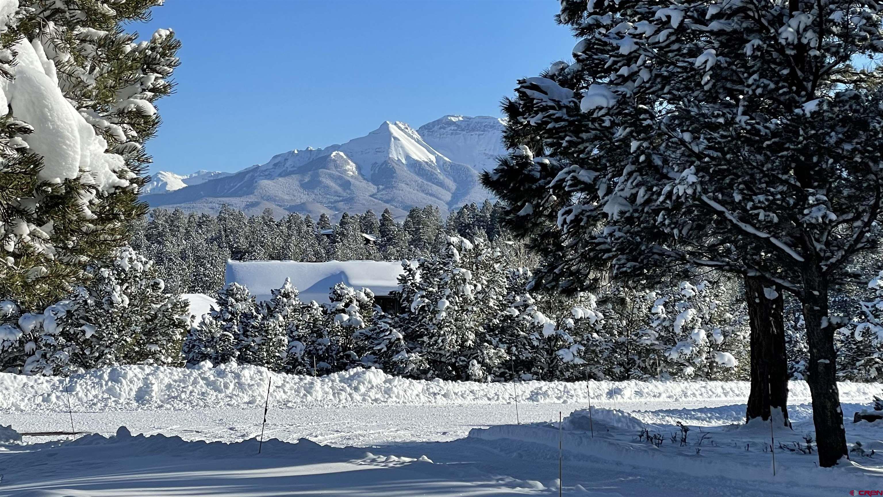 653 Marmot Drive Ridgway, CO 81432 - Photo 4 of 44 a outdoor space with lots of trees