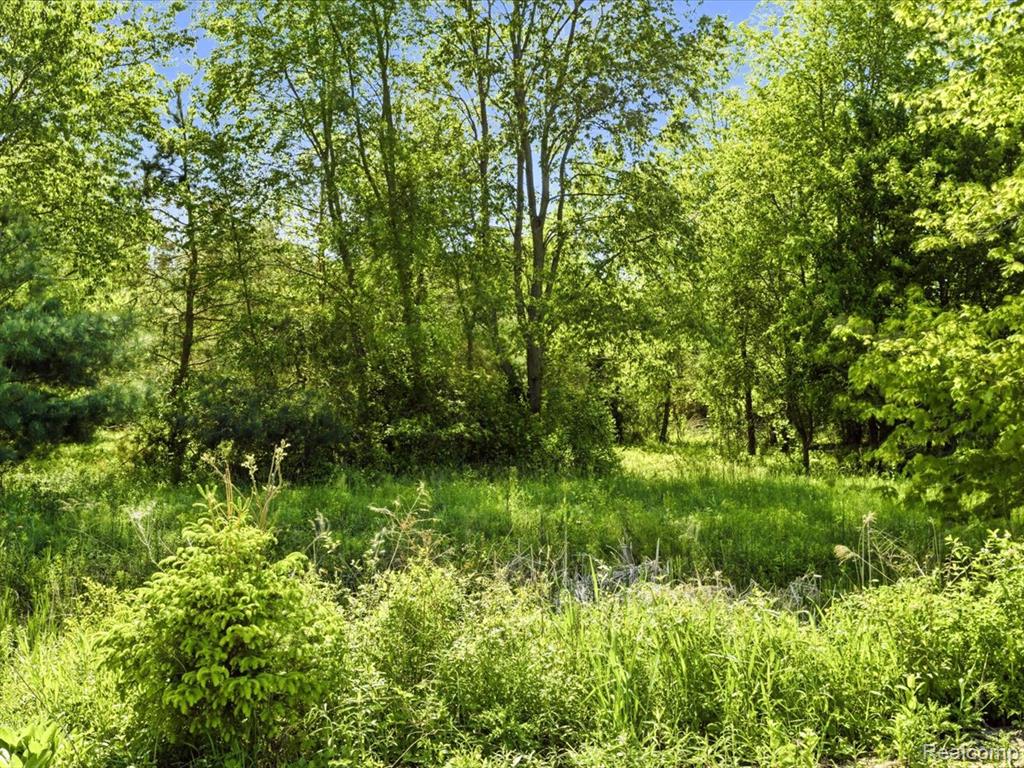 2971 Beach Road Port Huron, MI 48060 - Photo 27 of 29