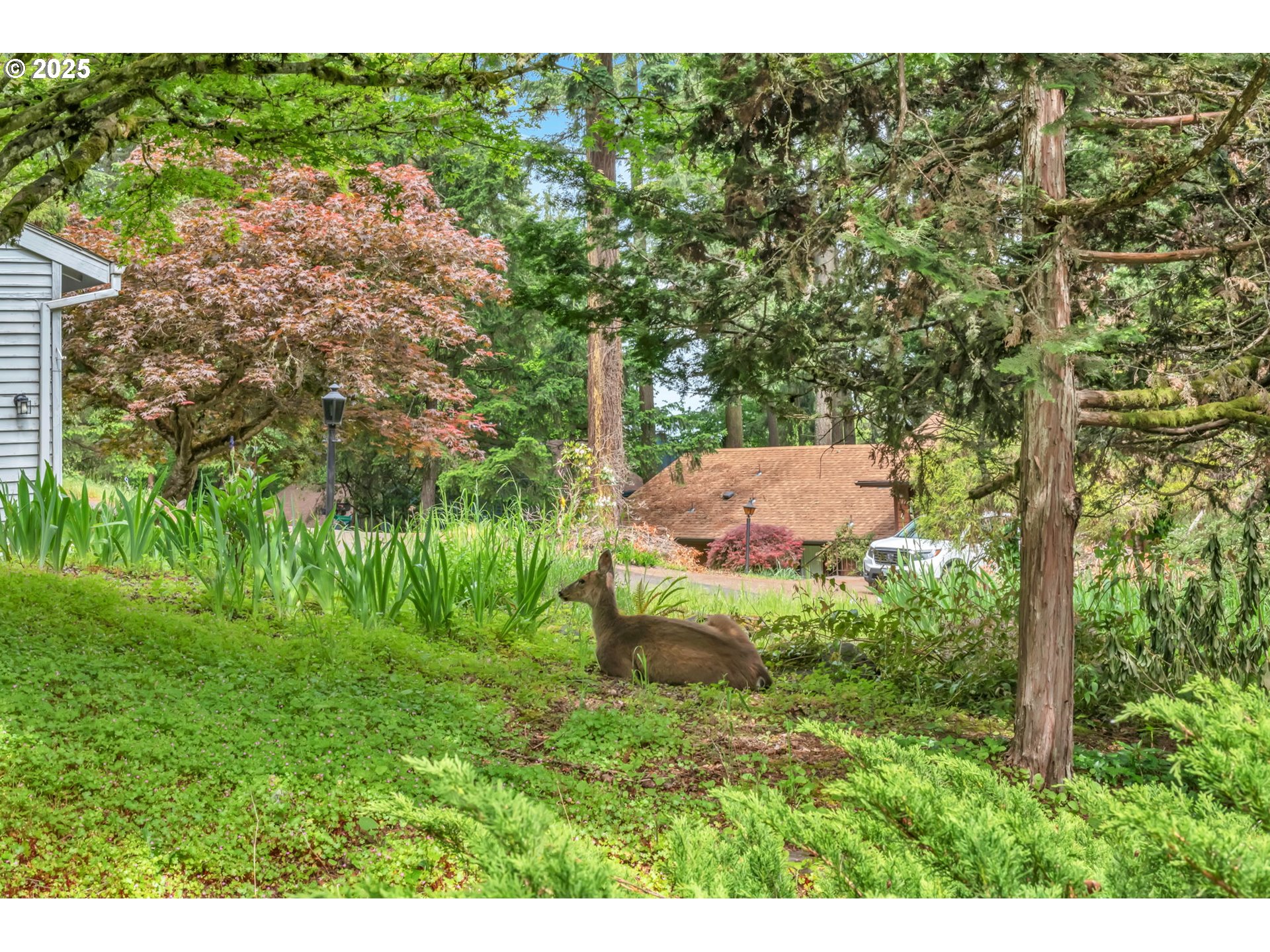 2811 Greentree Way Eugene, OR 97405 - Photo 38 of 38 a backyard of a house with a garden and outdoor seating