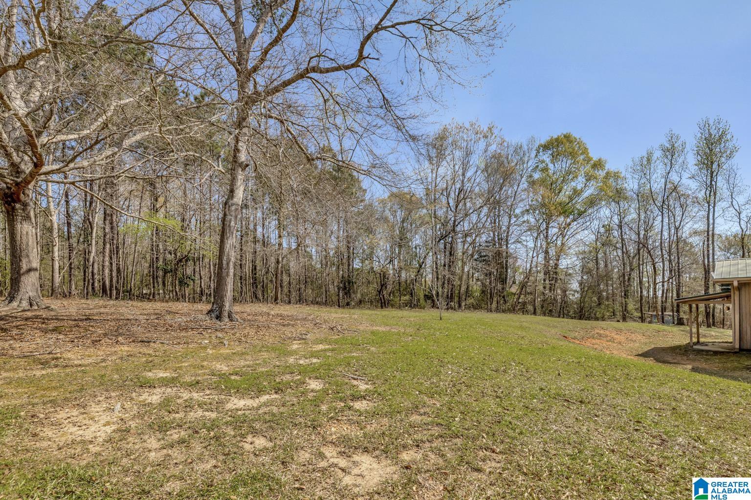 6535 Mays Bend Road Pell City, AL 35128 - Photo 26 of 28