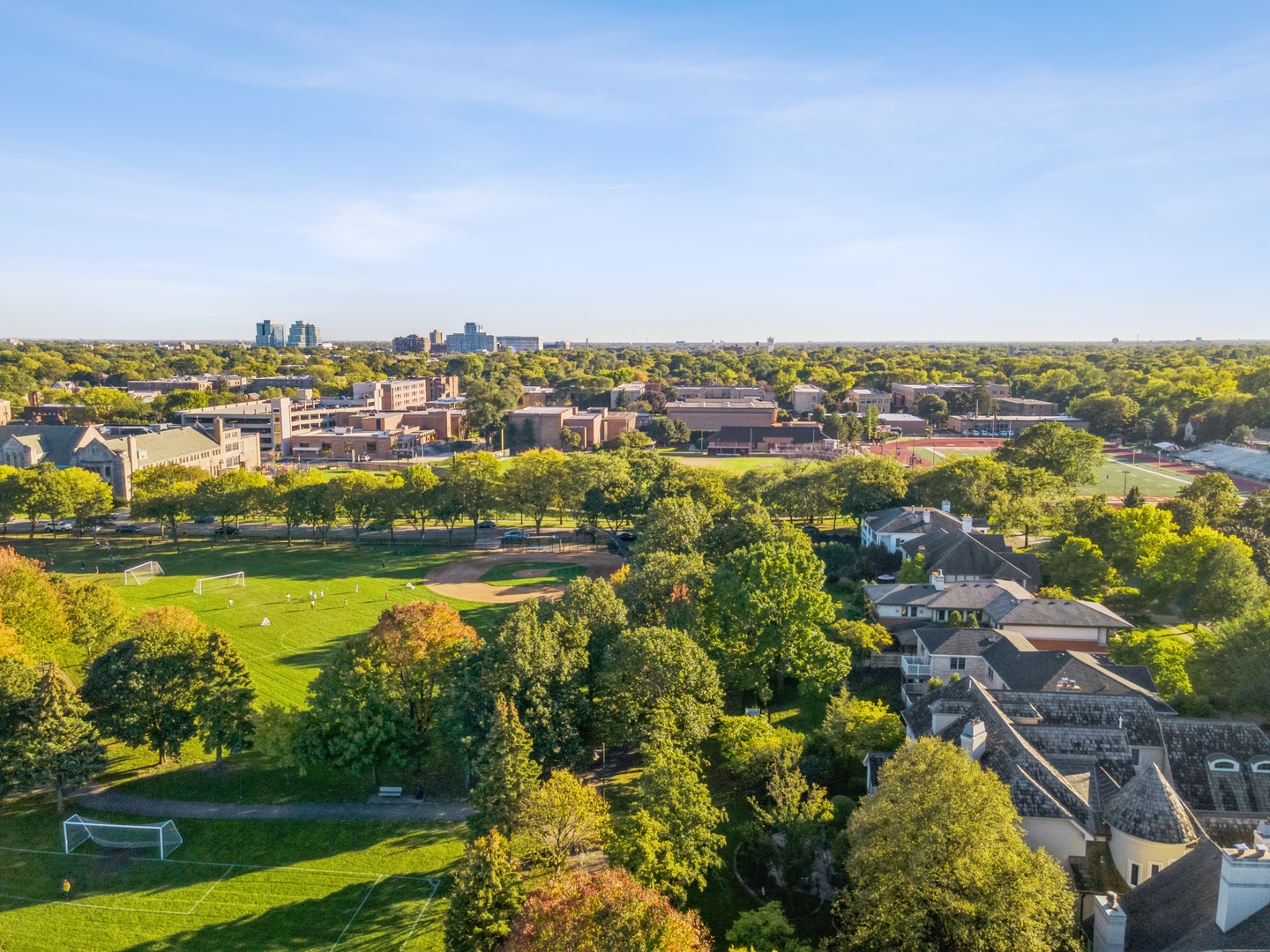 1255 William Street River Forest, IL 60305 - Photo 7 of 56