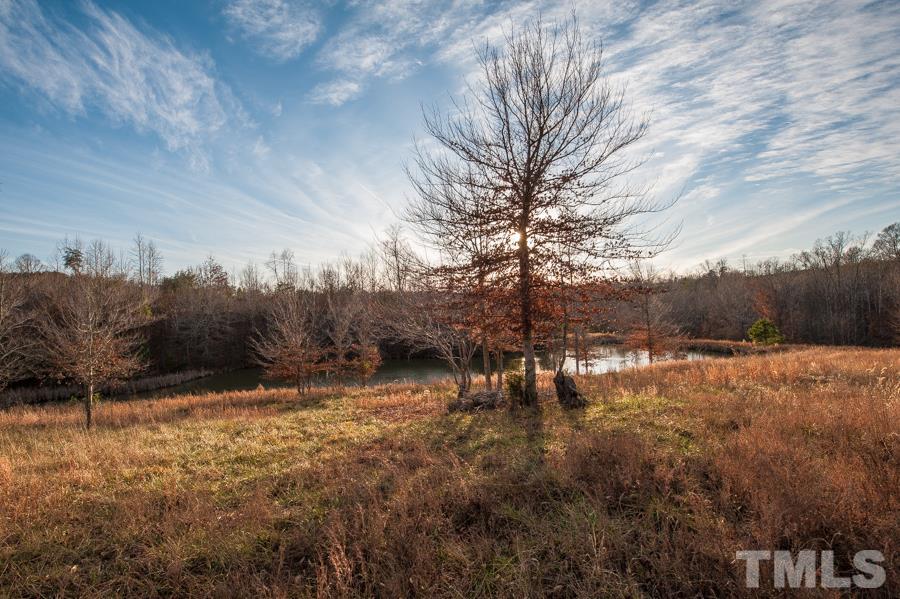 9796 Park Springs Road Ruffin, NC 27326 - Photo 2 of 25 Gallery Image 2