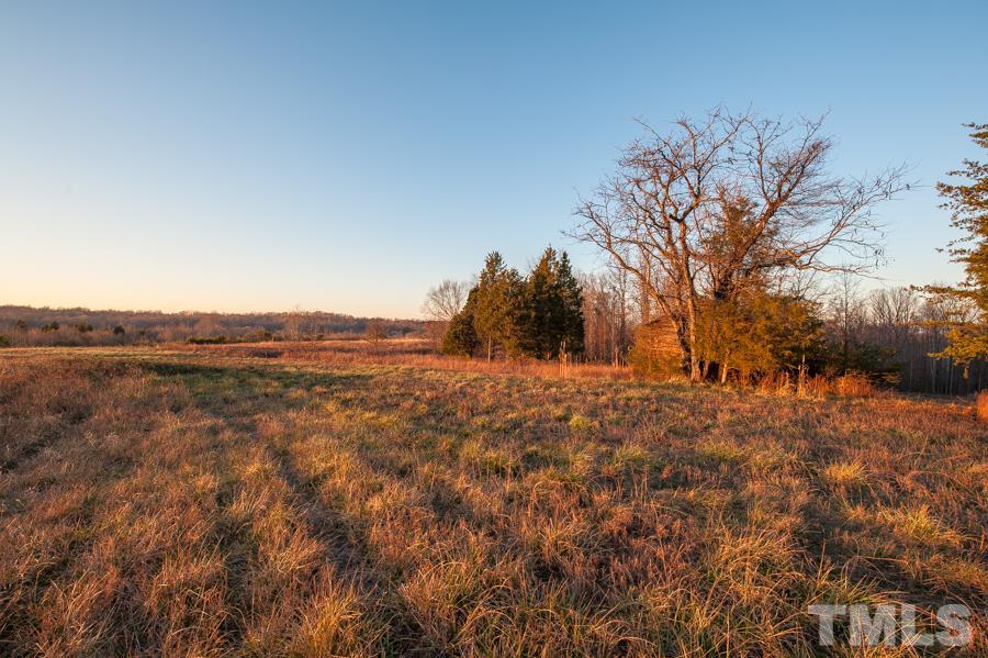 9796 Park Springs Road Ruffin, NC 27326 - Photo 8 of 25 Gallery Image 8