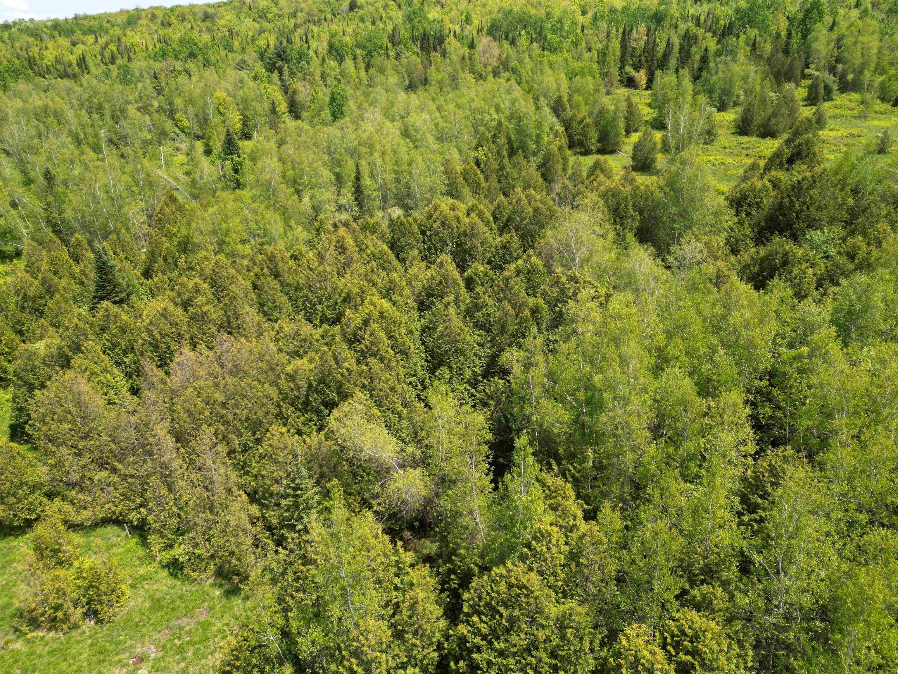 Tetreault Road Newport Center, VT 05857 - Photo 31 of 31