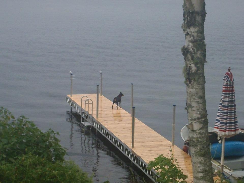 5 Sunrise Road Gouldsboro, ME 04607 - Photo 3 of 21 Photo