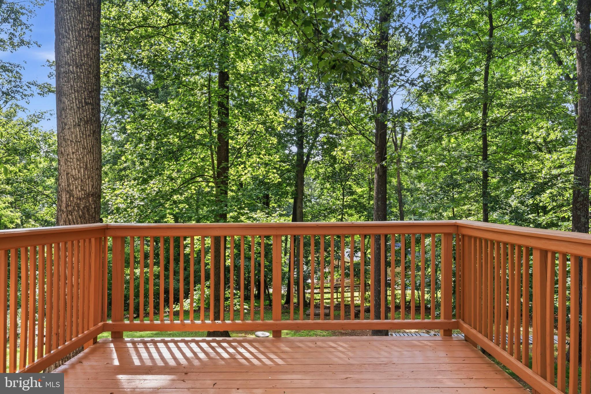 997 Wilderness Road Linden, VA 22642 - Photo 45 of 61 Deck off the ktichen