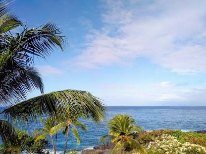 Lot 1-a-1 Lot 1-a-1 Mamalahoa Highway Captain Cook, HI 96704 - Photo 4 of 7 a view of a palm plant with an ocean view