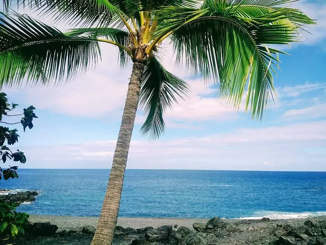 a view of a lake with beach and trees