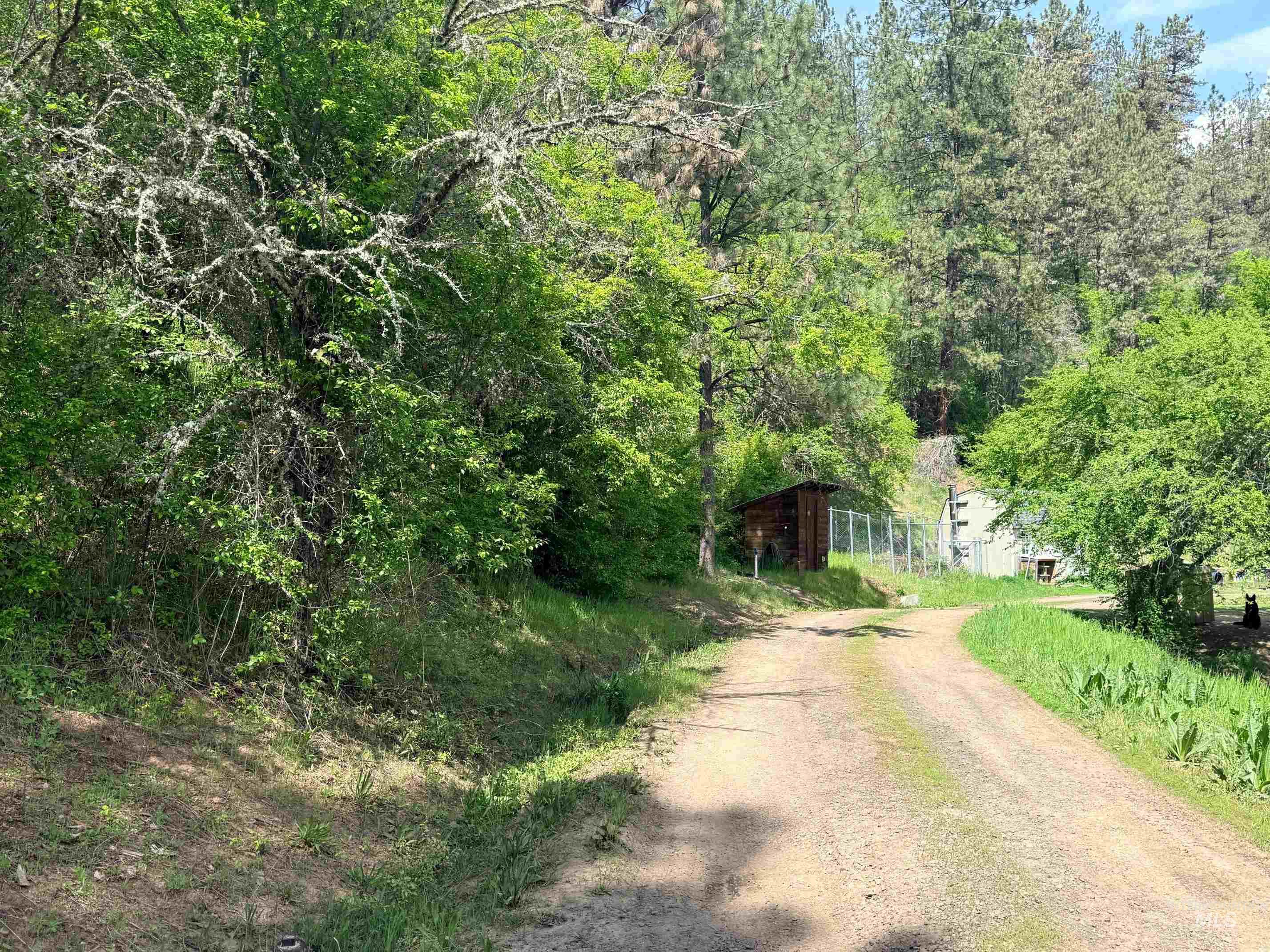 620 Old Peck Grade Lenore, ID 83541 - Photo 4 of 45