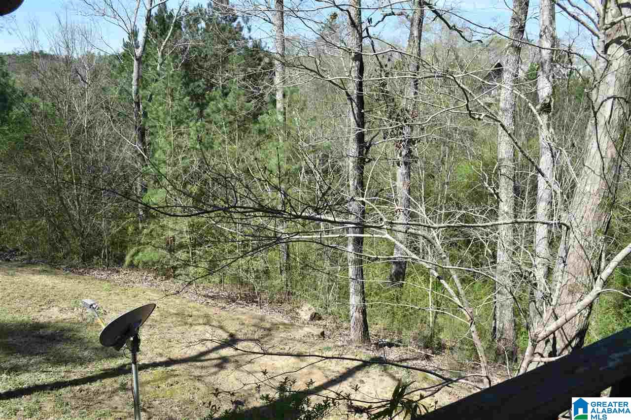 6180 Castle Lane Morris, AL 35116 - Photo 21 of 33