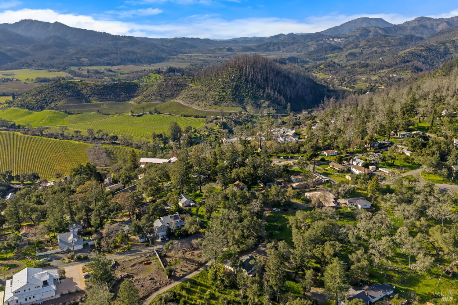 111 Lilac Lane St. Helena, CA 94574 - Photo 45 of 52