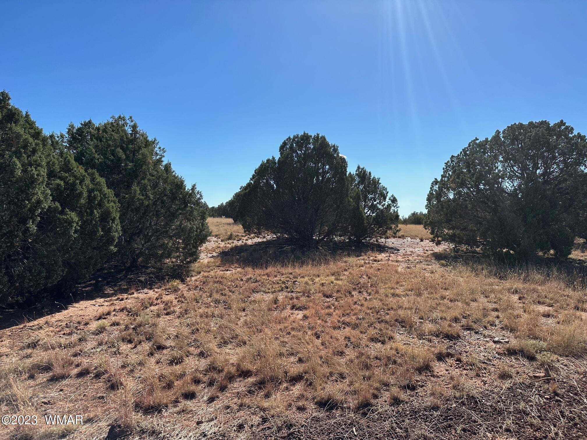 8284 Irwin Concho Az 85924 Concho, AZ 85924 - Photo 2 of 6
