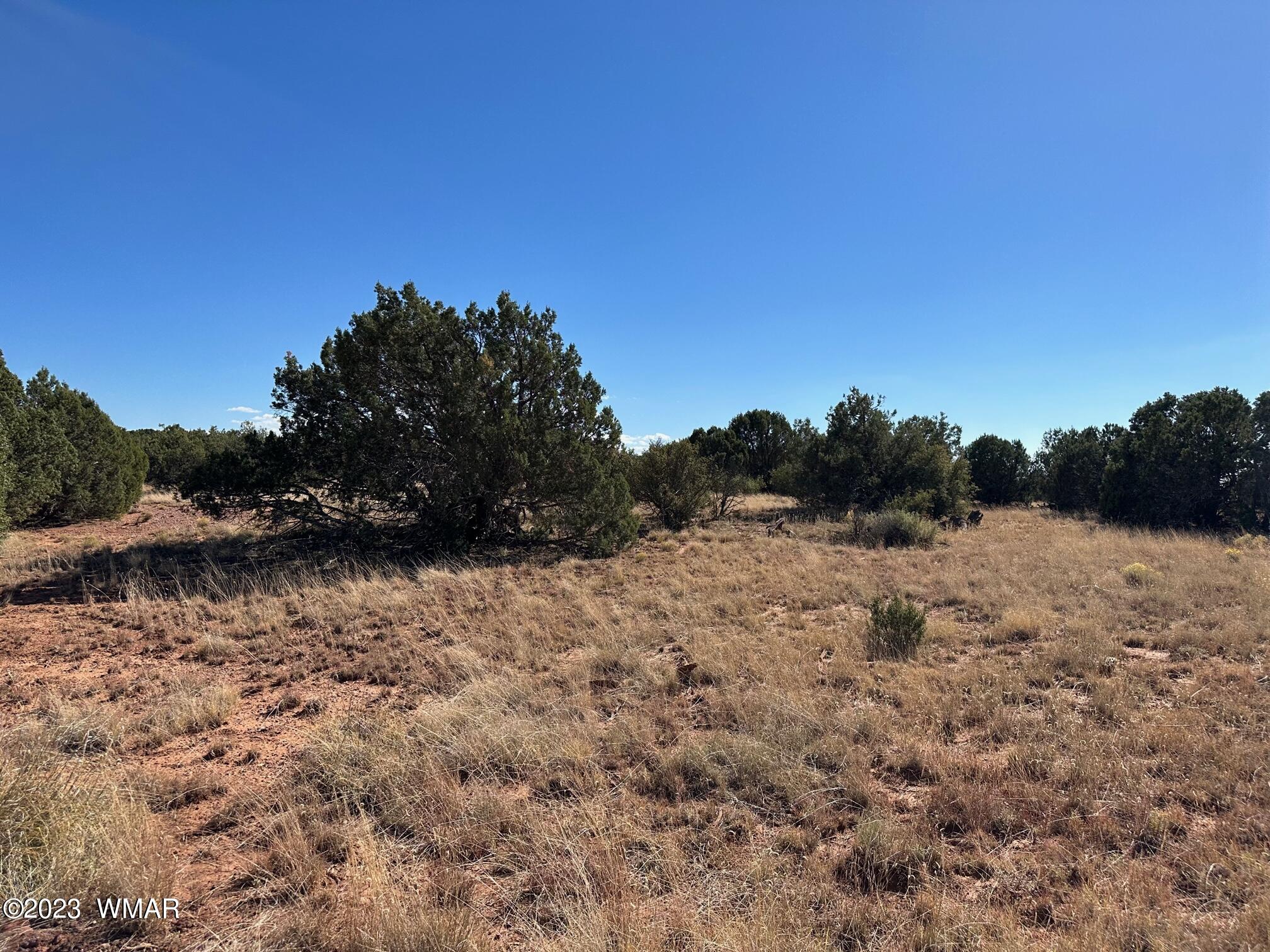 8284 Irwin Concho Az 85924 Concho, AZ 85924 - Photo 6 of 6