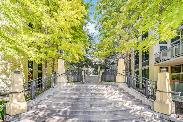 a view of road with large trees