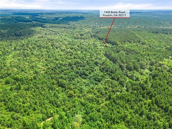 a sign of golf club on a tree