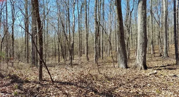 a view of an outdoor space and a yard