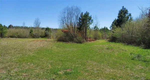 a view of outdoor space with trees