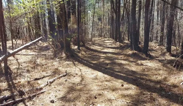 a view of yard with green space