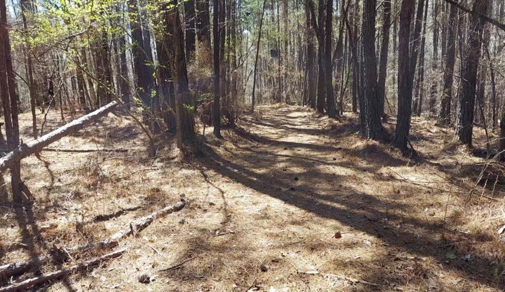 1440 Butler Road Franklin, GA 30217 - Photo 18 of 27