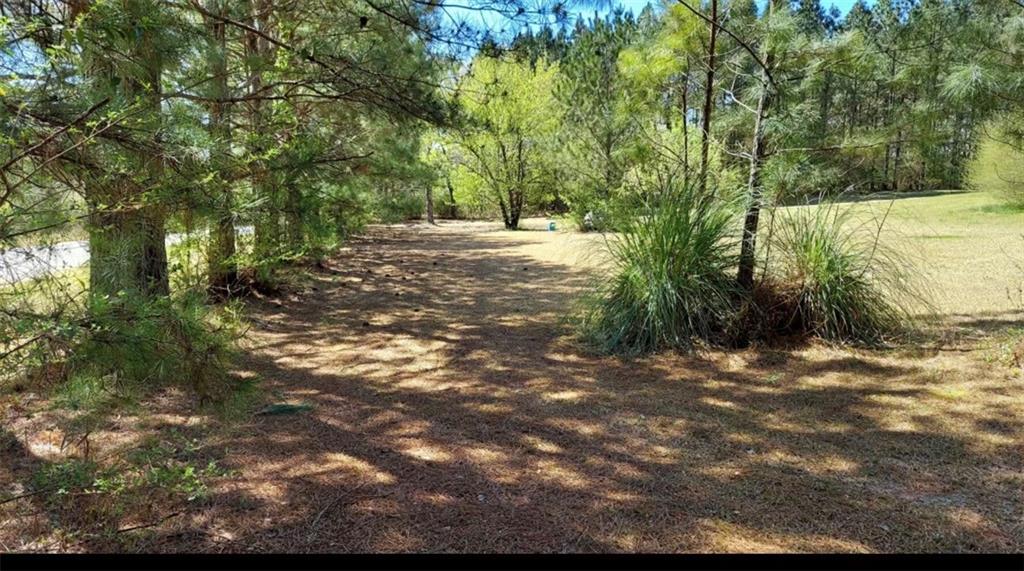 1440 Butler Road Franklin, GA 30217 - Photo 19 of 27