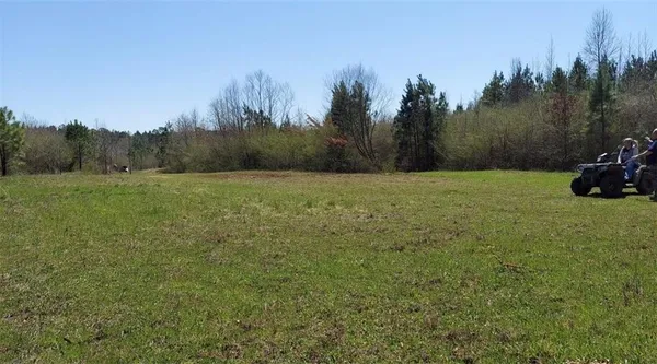 a green field covered with trees