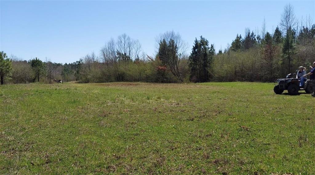 1440 Butler Road Franklin, GA 30217 - Photo 21 of 27