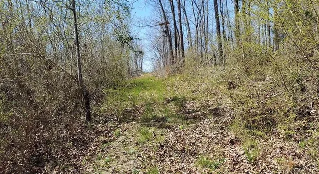 $2,000,000 | 1440 Butler Road, Franklin, GA 30217