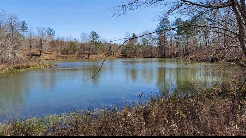 1440 Butler Road Franklin, GA 30217 - Photo 27 of 27