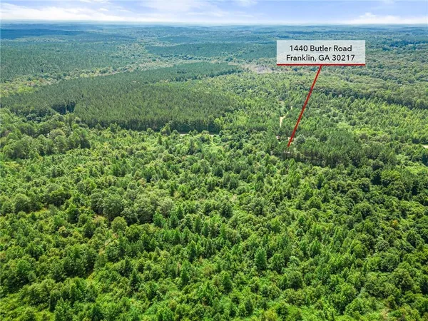 a view of a garden with a fountain