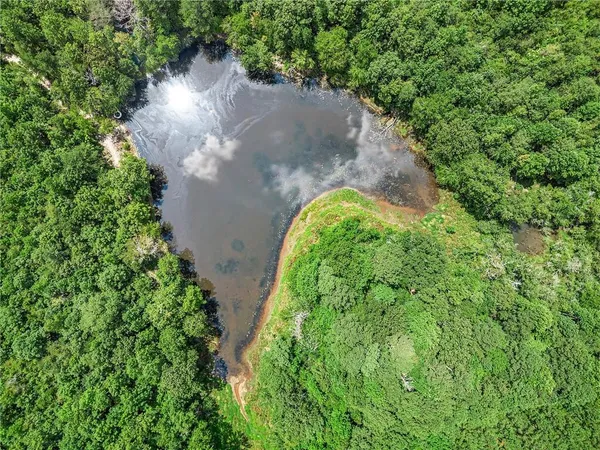 a view of a garden with a lake