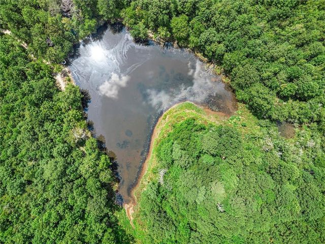 a view of a garden with a lake