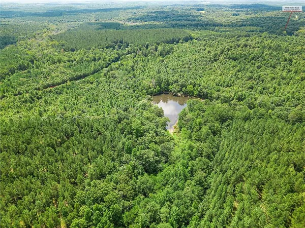 a view of a field with an trees