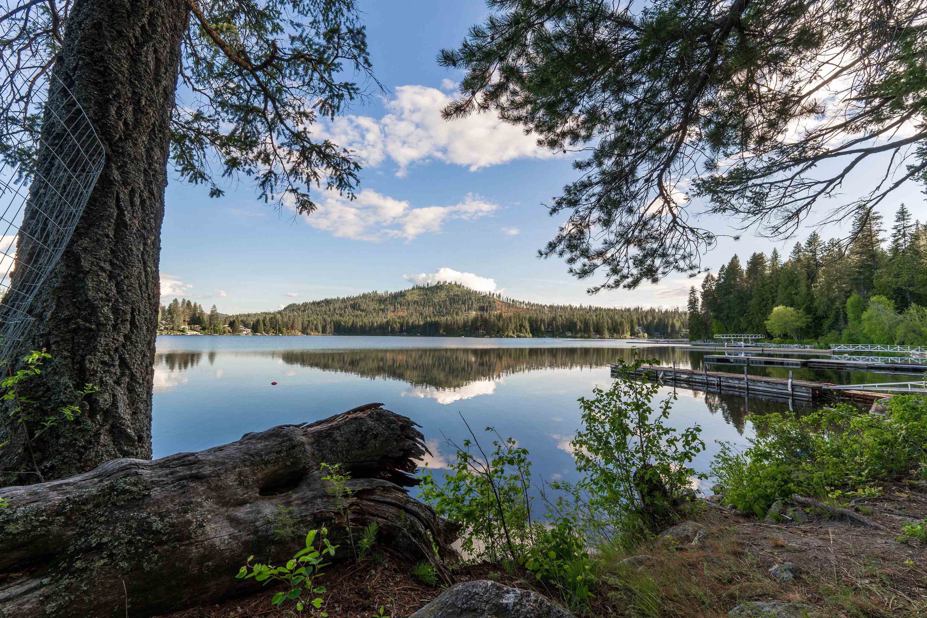 8431 Fertile Valley Road Newport, WA 99156 - Photo 39 of 44