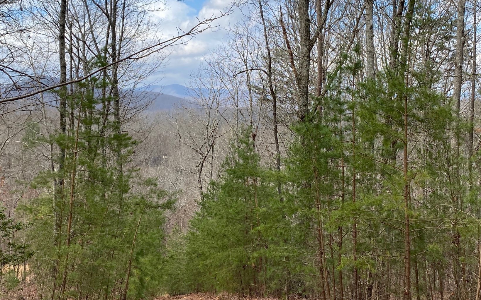 Lot7 Price Road Blue Ridge, GA 30513 - Photo 4 of 7 Additional View