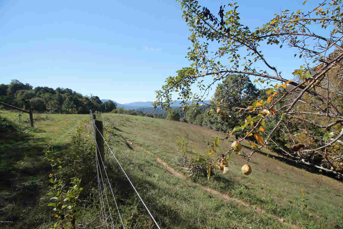 Lot I Springdale Road Pearisburg, VA 24134 - Photo 3 of 6 Gallery Image 3