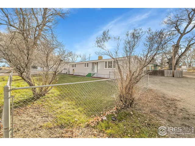 a view of a yard with a tree