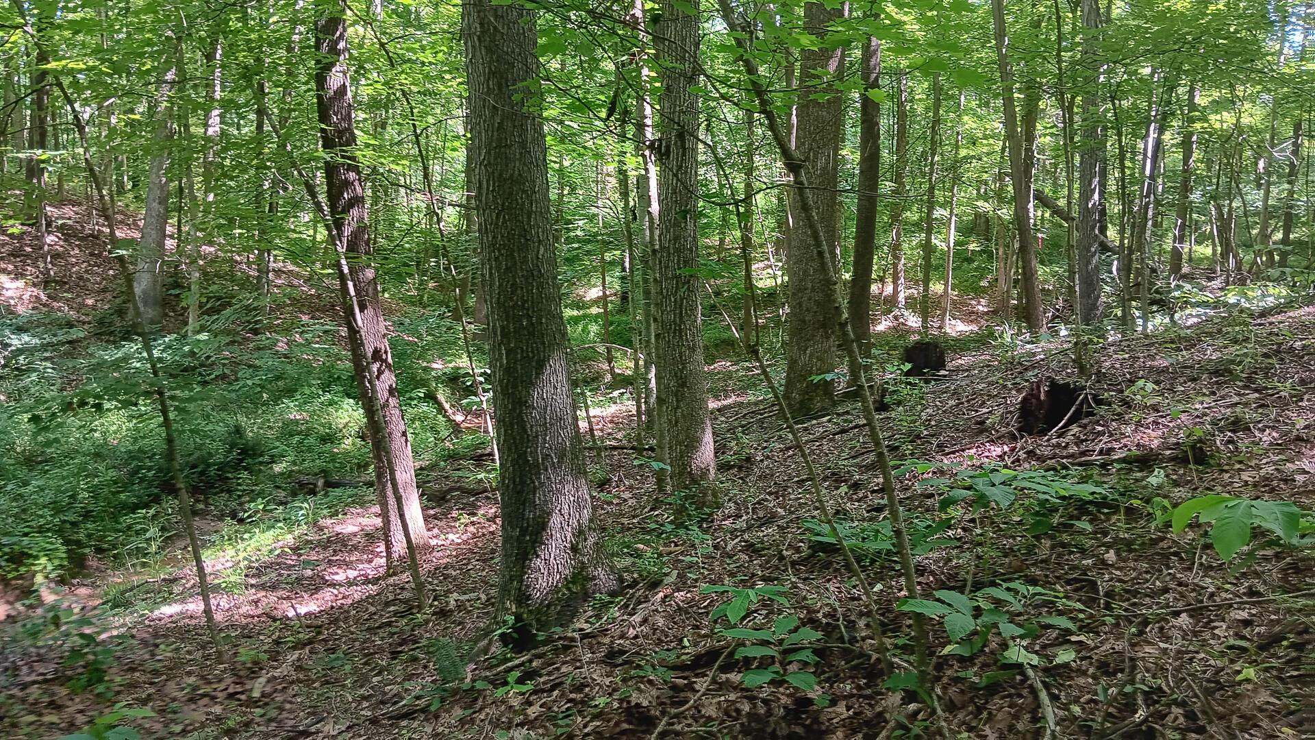 0 681st Road, Unit ALBANY HIDEAWAY TRACT 4) Albany, OH 45710 - Photo 28 of 47