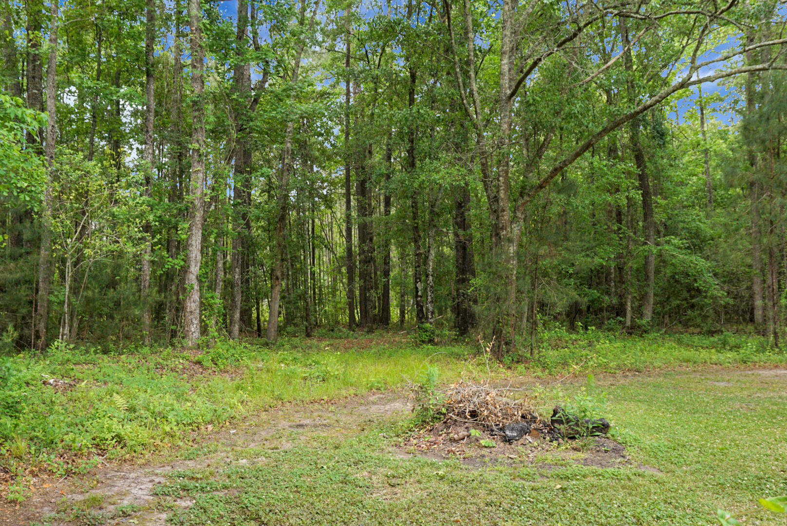 605 Country Club Road Andrews, SC 29510 - Photo 47 of 50 DSC02286