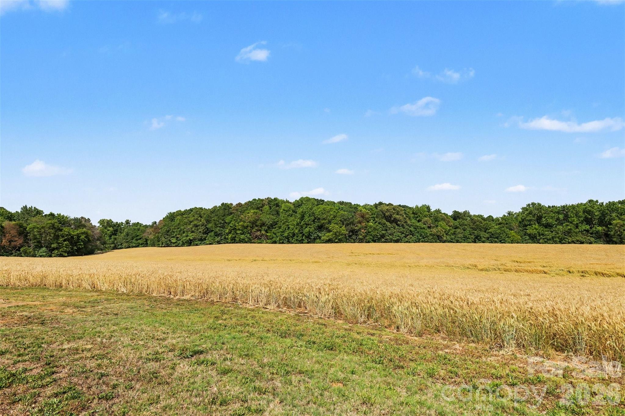 6710 Effie Whitley Road Monroe, NC 28112 - Photo 13 of 48
