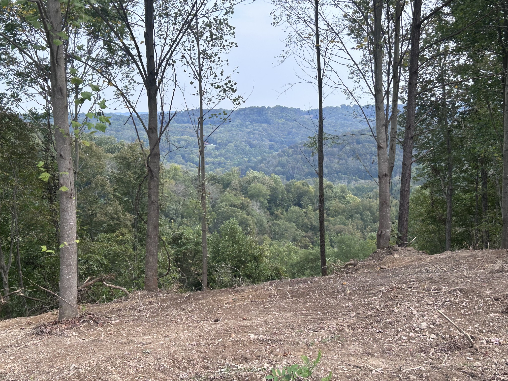 1 Jimtown Road Woodbury, TN 37190 - Photo 15 of 20