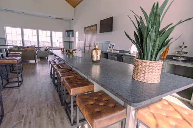 a living room with furniture dining table and a potted plant
