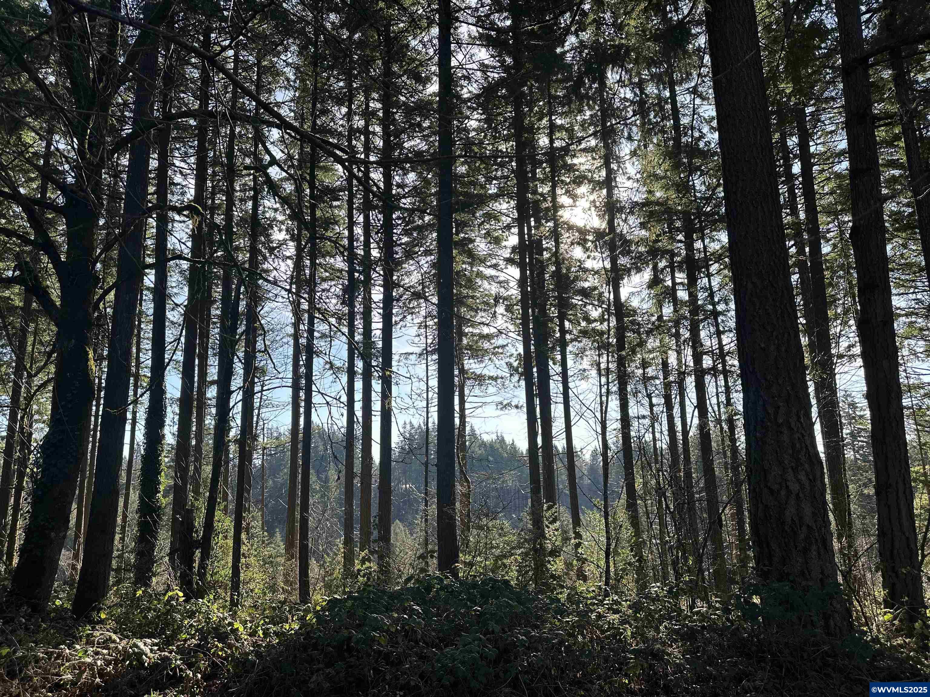 South Meyers (next To) Road Oregon City, OR 97045 - Photo 5 of 17