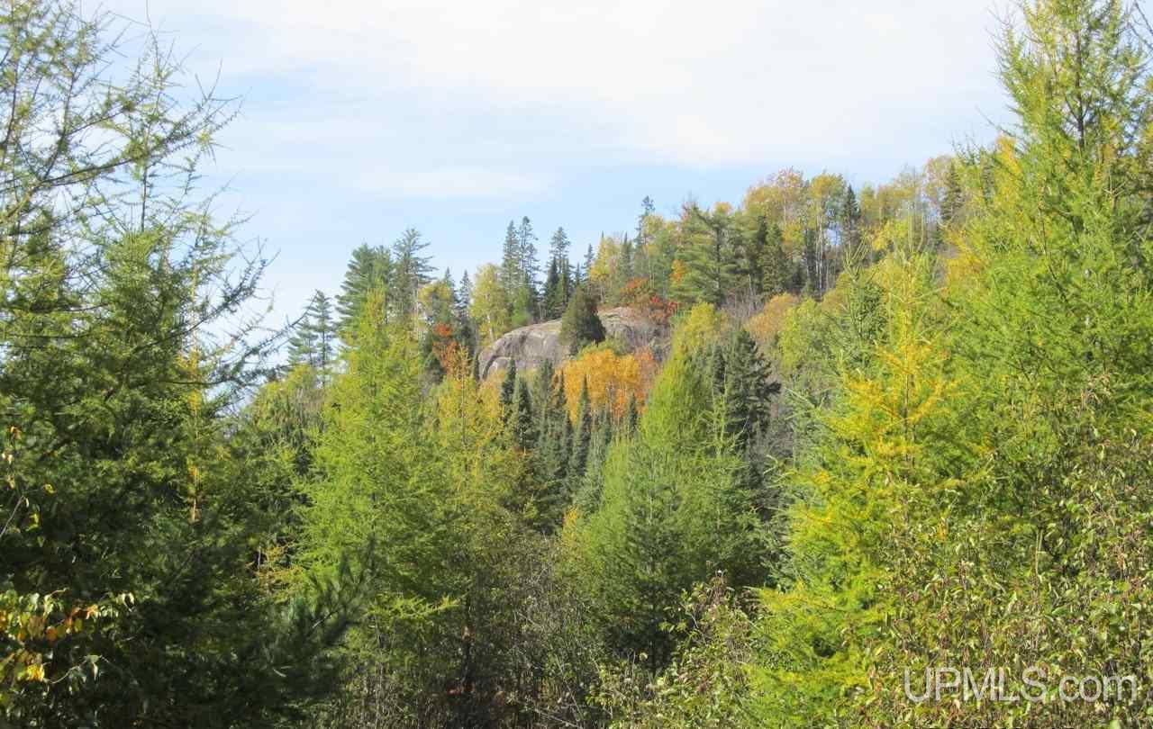 Tbd Tbd Co Road Michigamme, MI 49861 - Photo 13 of 18