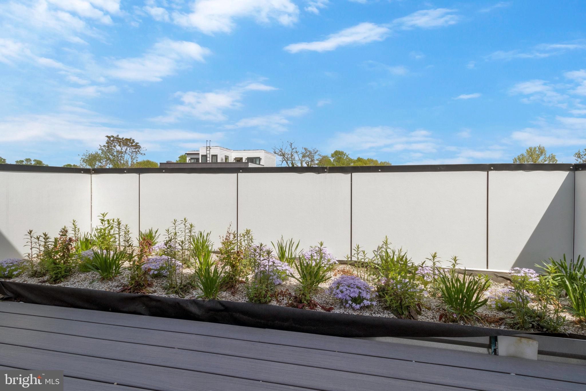 1004 18th Street Northeast, Unit 6 Washington, DC 20002 - Photo 8 of 9 a view of a lake with a flower garden