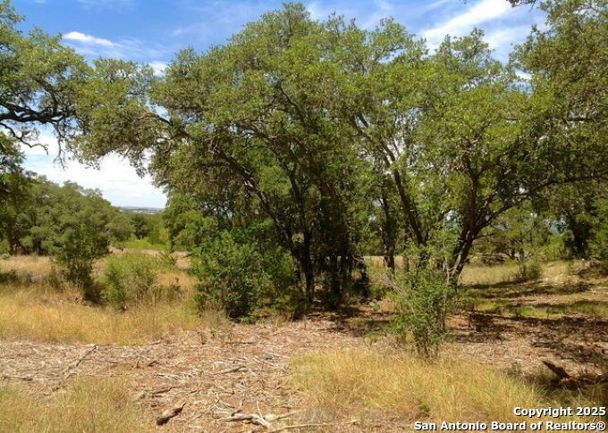Lot 68 Lariat Trace Bandera, TX 78003 - Photo 3 of 12