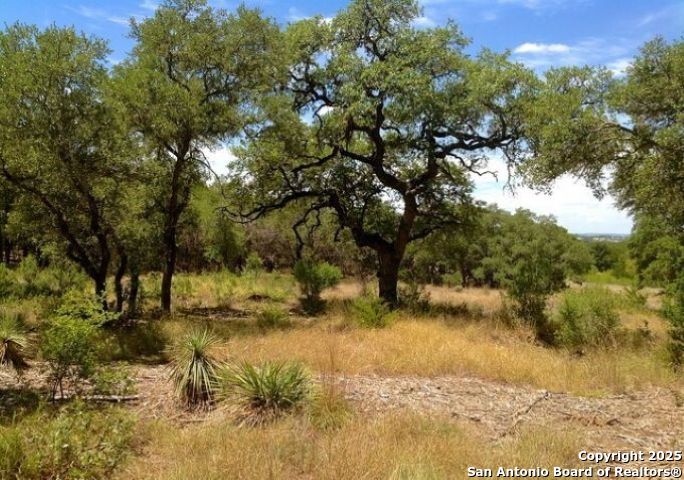 Lot 68 Lariat Trace Bandera, TX 78003 - Photo 5 of 12
