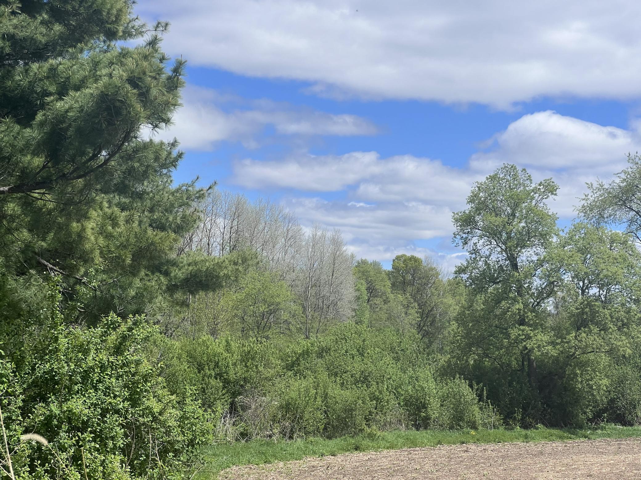 Tbd Tbd County Line Avenue Clear Lake, WI 54005 - Photo 7 of 11