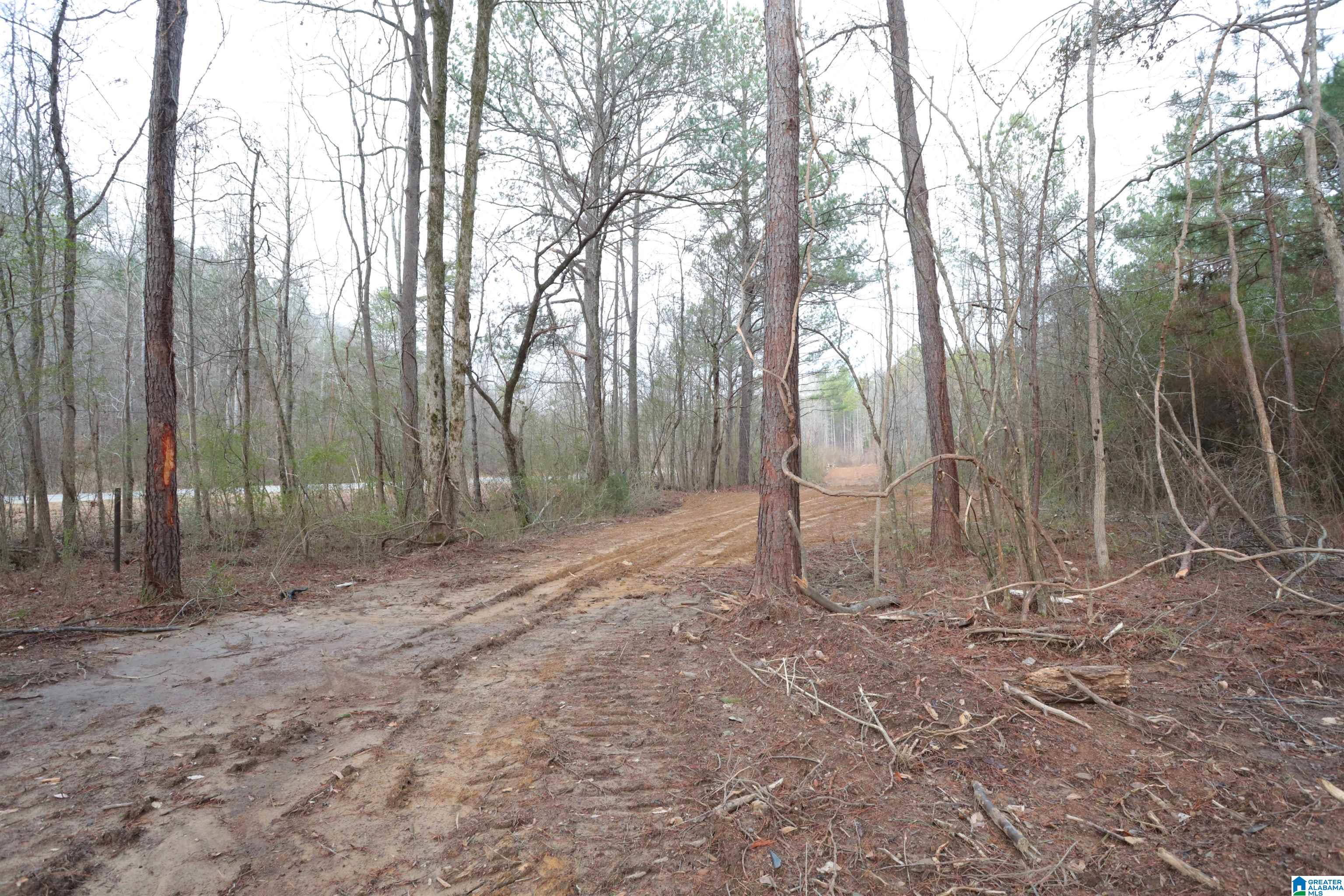 8751 Groundhog Road, Unit 41 ACRES Adger, AL 35006 - Photo 14 of 17