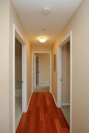 a bathroom with a shower and a toilet