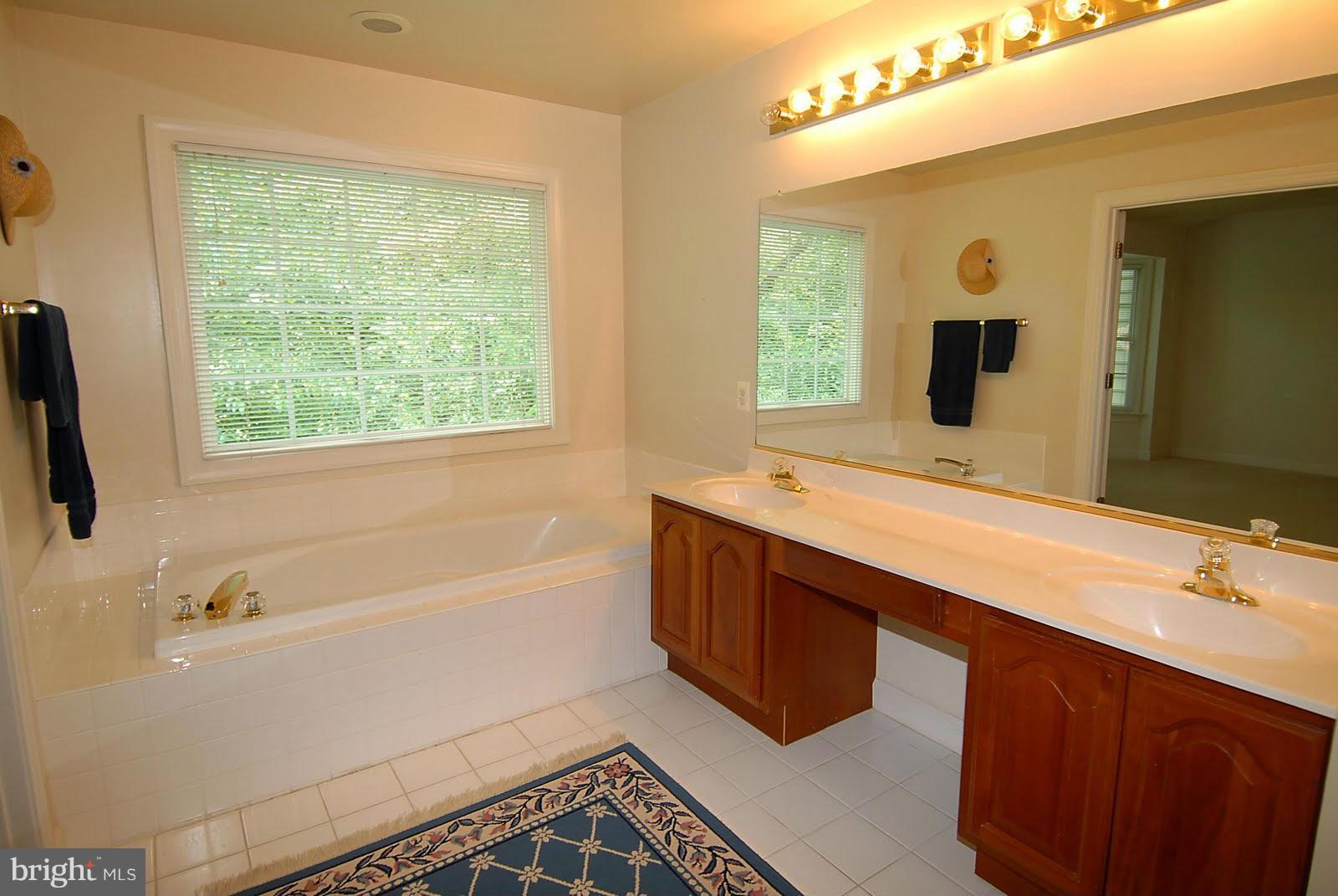 144 Rees Place Falls Church, VA 22046 - Photo 22 of 27 a bathroom with a double vanity sink a mirror and a bathtub